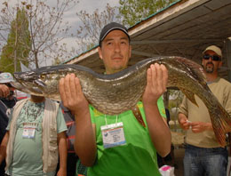 Bala'da 6 kiloluk turna balığı tutuldu